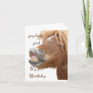 Funny Horse Birthday Card Karte