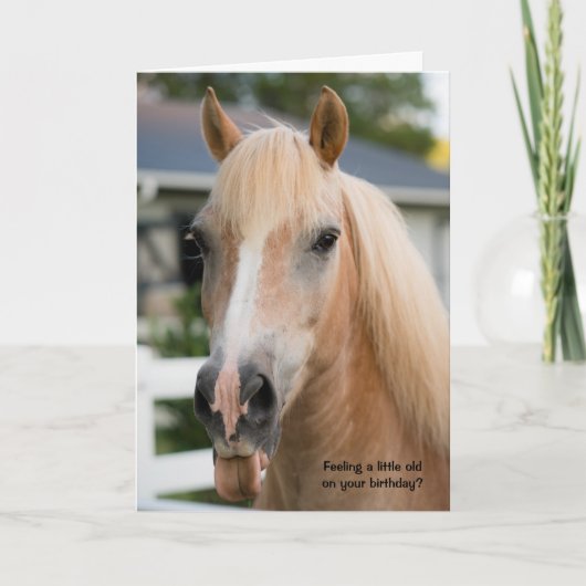 Funny Horse Birthday Card über Alt werden Karte (Vorderseite)