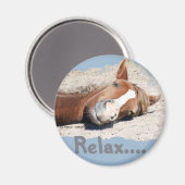 Funny Horse: Entspannen Magnet (Vorderseite/Rückseite)