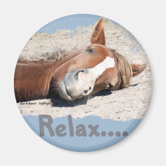 Funny Horse: Entspannen Magnet (Vorne)