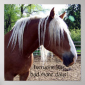 Funny Horse "Every has Bad Mane Days" Poster (Vorne)