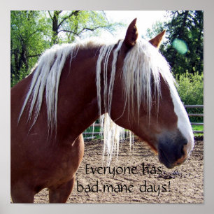Funny Horse "Every has Bad Mane Days" Poster
