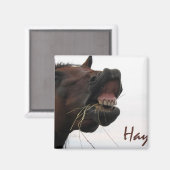 Funny Horse: Hay! Magnet (Vorderseite/Rückseite)