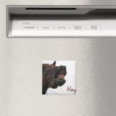 Funny Horse: Hay! Magnet (In Situ (Geschirrspüler))