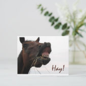 Funny Horse: Hay! Postkarte (Stehend Vorderseite)