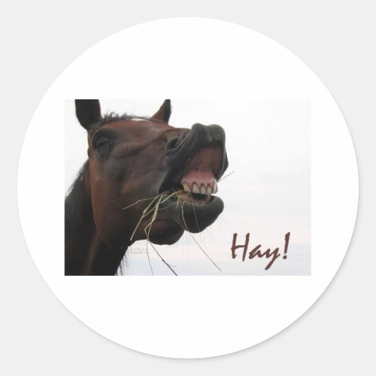 Funny Horse: Hay! Runder Aufkleber (Vorderseite)