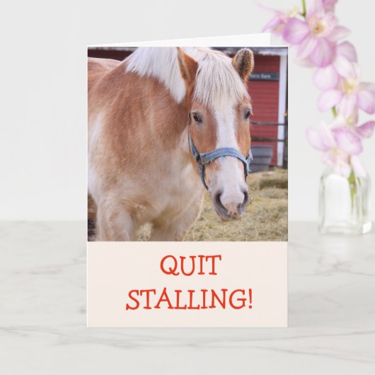 Funny Horse Joke Pub bekommen Well Card Karte (Orchidee)