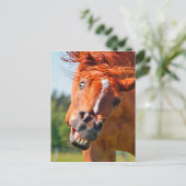 Funny Horse Laughing Fotografie Postkarte (Stehend Vorderseite)