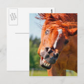 Funny Horse Laughing Fotografie Postkarte (Vorne/Hinten)