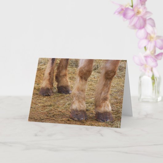 Funny Horse Legs bekommen Well Card Karte (Orchidee)