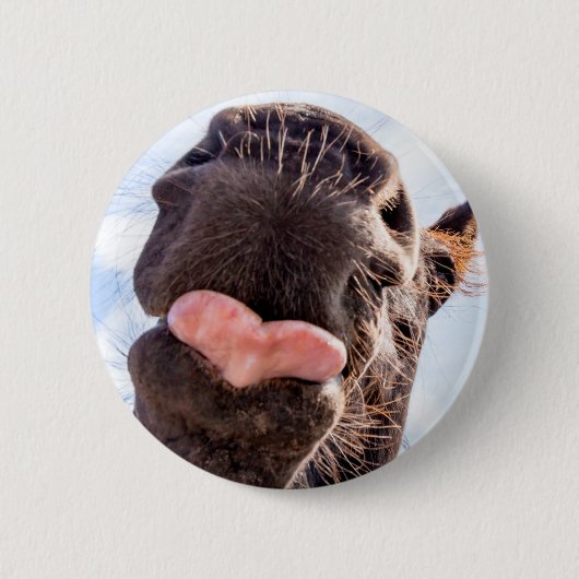 Funny Horse Lick Fotograf Button (Vorderseite)