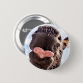 Funny Horse Lick Fotograf Button (Vorne & Hinten)