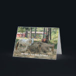 Funny Horse Lover Geburtstag Karte<br><div class="desc">© Cindy Bendel</div>