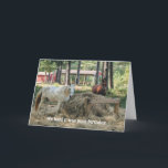 Funny Horse Lover Geburtstag Karte<br><div class="desc">© Cindy Bendel</div>