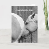 Funny Horse stinkt soziale Distanz Vermisst Sie Karte (Vorderseite)