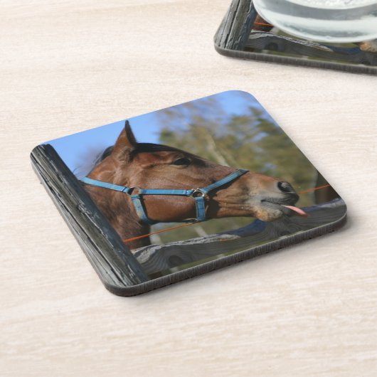 Funny Horse Untersetzer (Linke Seite)