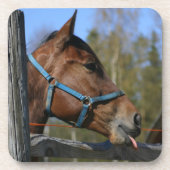 Funny Horse Untersetzer (Vorderseite)