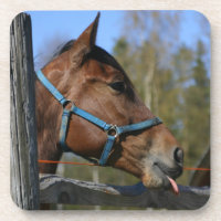 Funny Horse Untersetzer