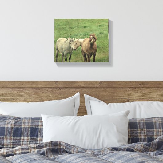 Funny Horses Leinwanddruck (Insitu (Schlafzimmer))