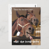 Funny Horses Long Face Animal Caption Postkarte (Vorne/Hinten)