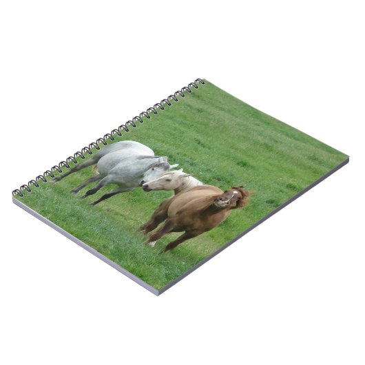 Funny Horses Notizblock (Linke Seite)