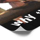 Funny Horses Poster (Ecke)