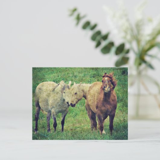 Funny Horses Postkarte (Stehend Vorderseite)