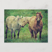 Funny Horses Postkarte (Vorderseite)