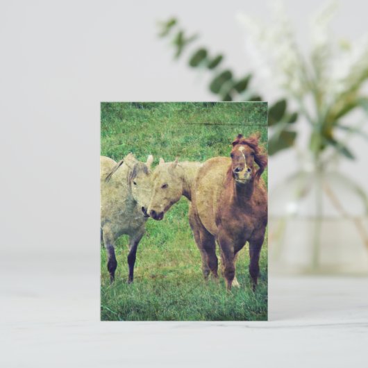 Funny Horses Postkarte (Stehend Vorderseite)
