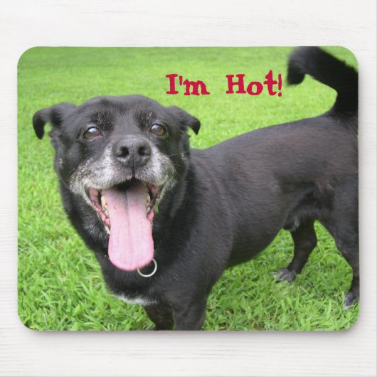 Funny Hot Dog Mouse Pad Mousepad (Vorne)