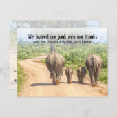 Funny Housewärming Party Elephants bewegt Postkarte (Vorne/Hinten)