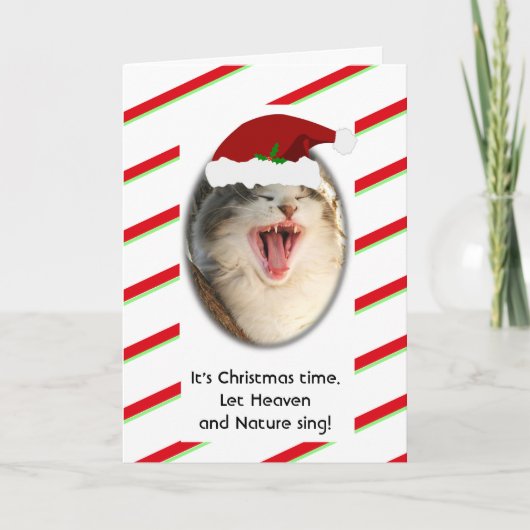 Funny Humour Singing Cat Christmas Feiertagskarte (Vorderseite)