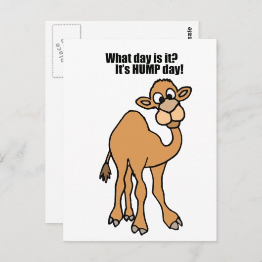 Funny Hump Day Camel Art Postkarte (Vorne/Hinten)