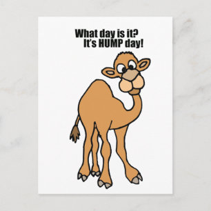 Funny Hump Day Camel Art Postkarte