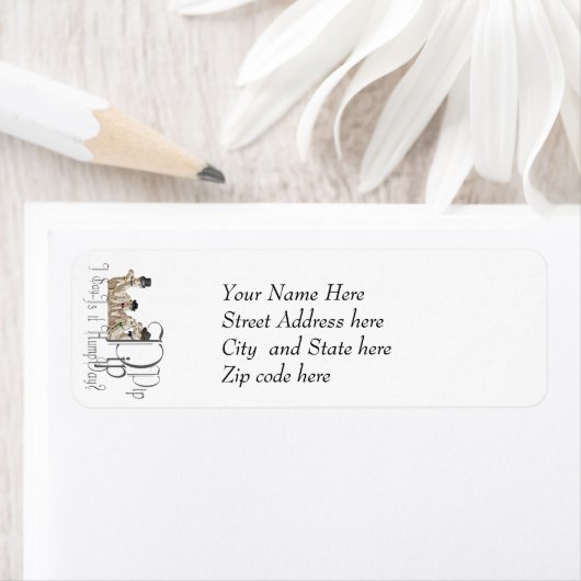 Funny Hump Day Camels in Monocles (Insitu)