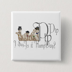 Funny Hump Day Camels in Monocles Button