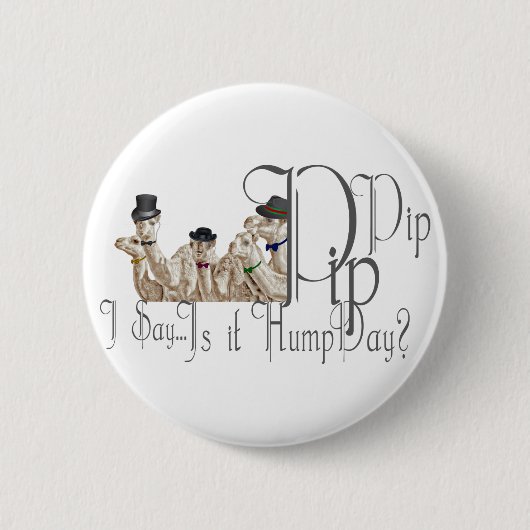 Funny Hump Day Camels in Monocles Button (Vorderseite)