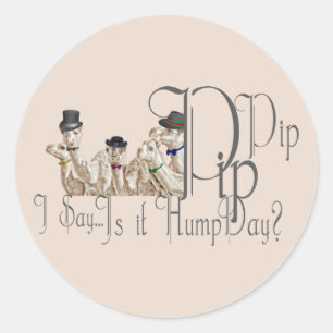 Funny Hump Day Camels in Monocles Runder Aufkleber