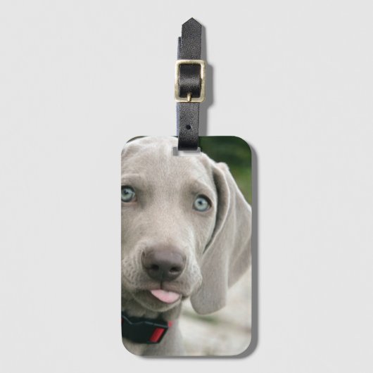 Funny Hund klebt Zunge-Out-Foto Gepäckanhänger (Vorderseite Vertikal)