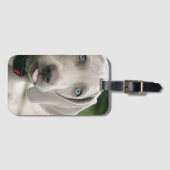 Funny Hund klebt Zunge-Out-Foto Gepäckanhänger (Vorderseite (Horizontal))