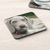 Funny Hund klebt Zunge-Out-Foto Getränkeuntersetzer (Linke Seite)