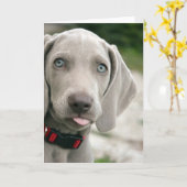 Funny Hund klebt Zunge-Out-Foto Karte (Gelbe Blume)