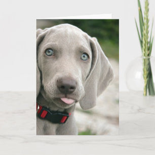 Funny Hund klebt Zunge-Out-Foto Karte