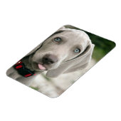 Funny Hund klebt Zunge-Out-Foto Magnet (Linke Seite)