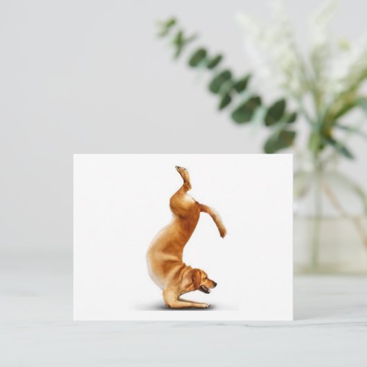 Funny Hund Postkarte (Stehend Vorderseite)