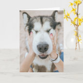 Funny Husky Dog Birthday Card Karte (Gelbe Blume)