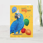 Funny Hyacinth Macaw Parrot Birthday Humor Karte (Vorderseite)