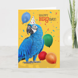 Funny Hyacinth Macaw Parrot Birthday Humor Karte