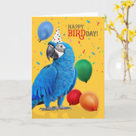Funny Hyacinth Macaw Parrot Birthday Humor Karte