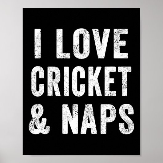 Funny I Love Cricket And Naps Bearded Cricket Dad  Poster (Vorne)